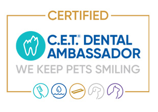 How to advocate for healthier smiles as a C.E.T. Dental Ambassador